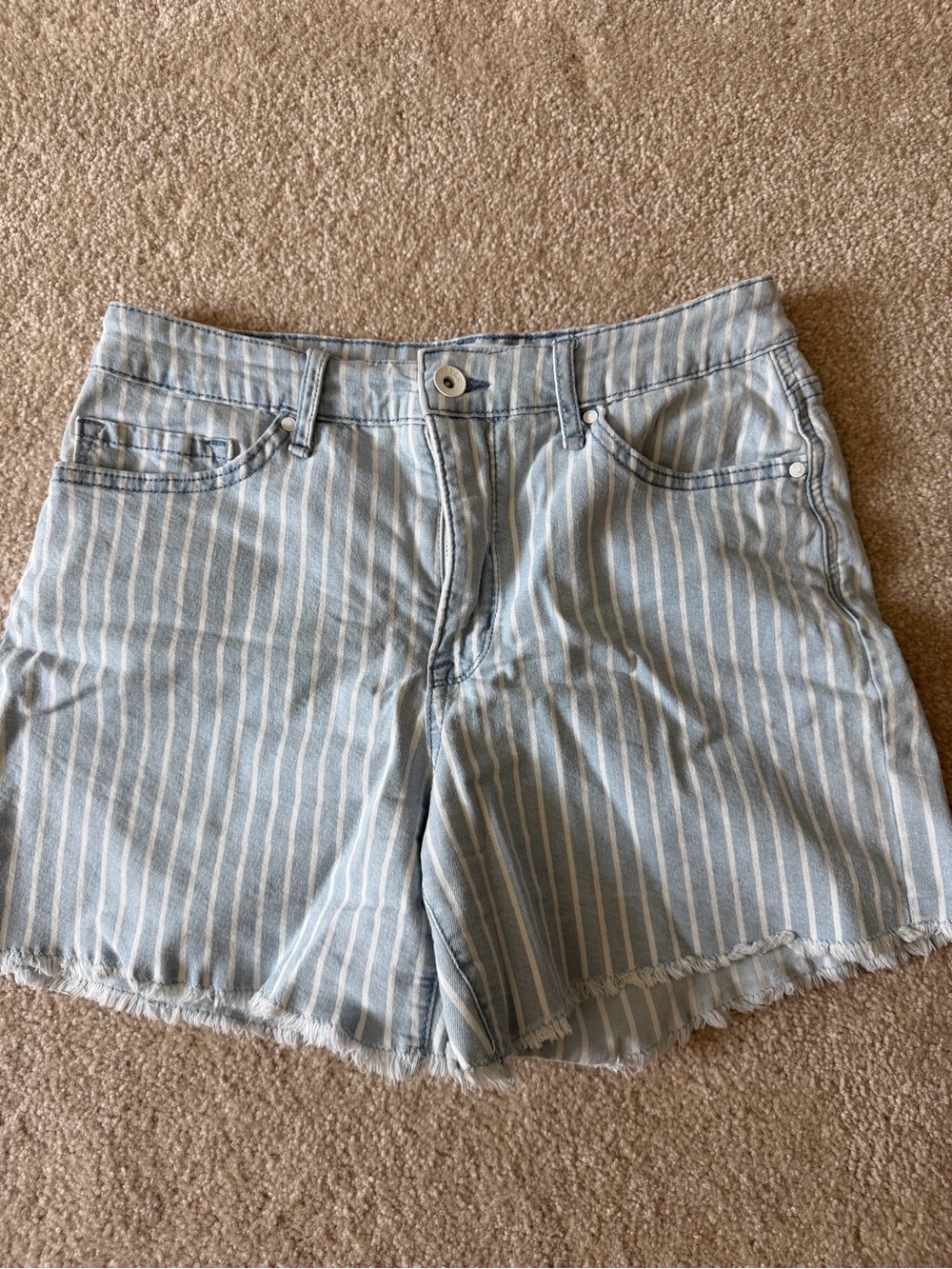Light Blue Striped Denim Shorts with Frayed Hem